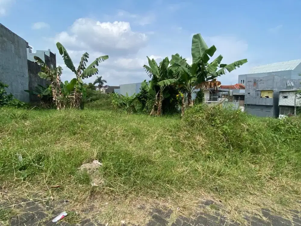 tanah pinang merah termurah cocok buat rumah kos elite dkt bunga andong bunga merak semanggi timur 100 meter ke raya suhat