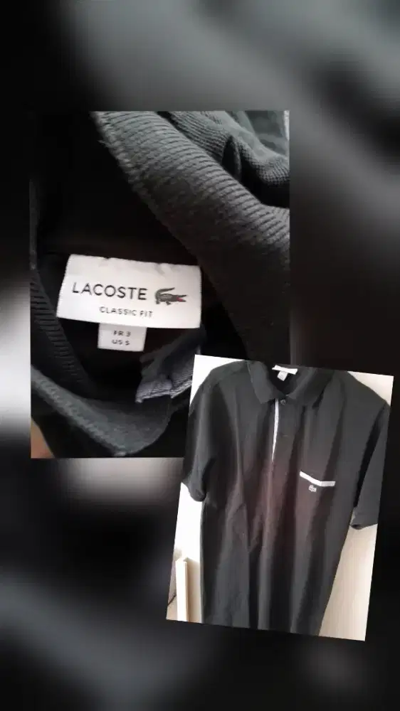 Kaos polo lacoste original