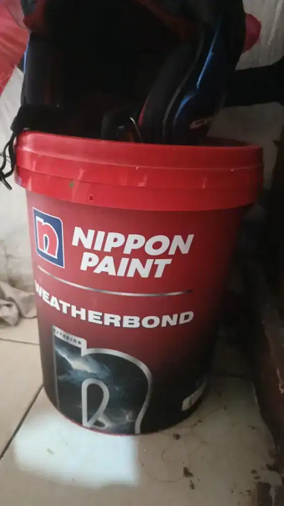cat nippon paint