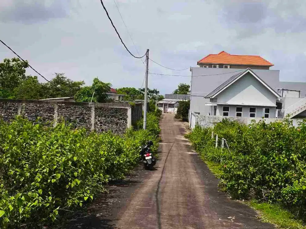 dijual tanah 5,30 are IDR 400 juta per are dekat SMP negeri 5 Kutuh Kuta Selatan Badung Bali
