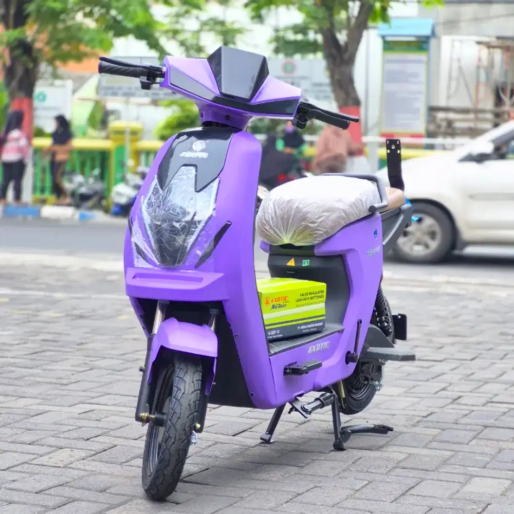 EXOTIC X 650 WARNA LIMITED