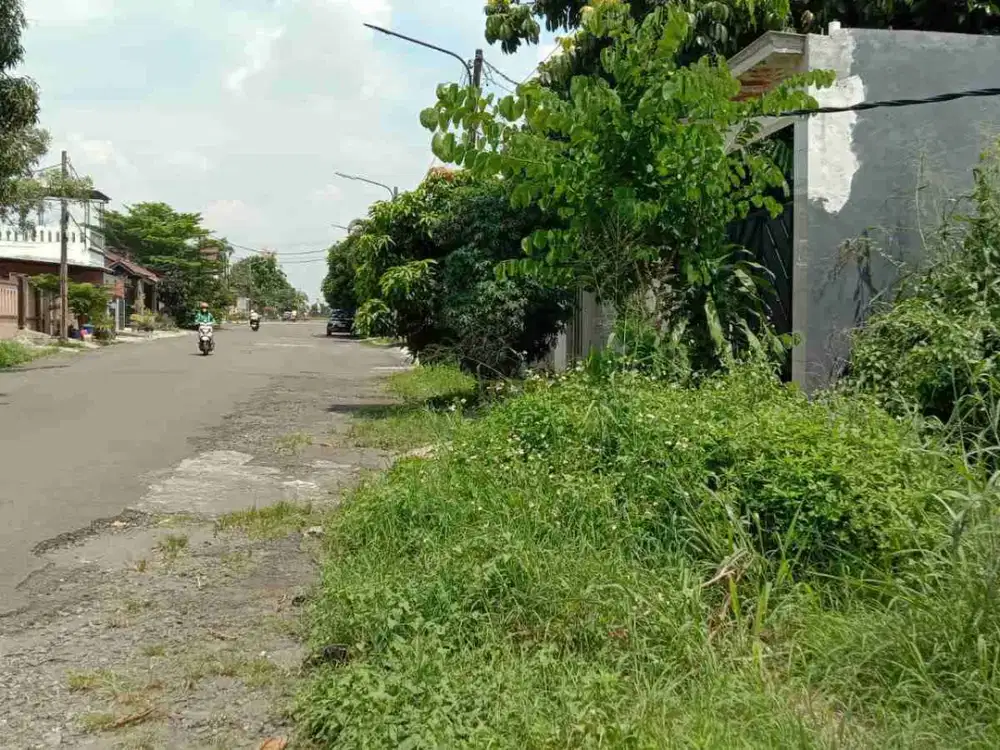 Tanah kavling  Limus regency shm di Cileungsi