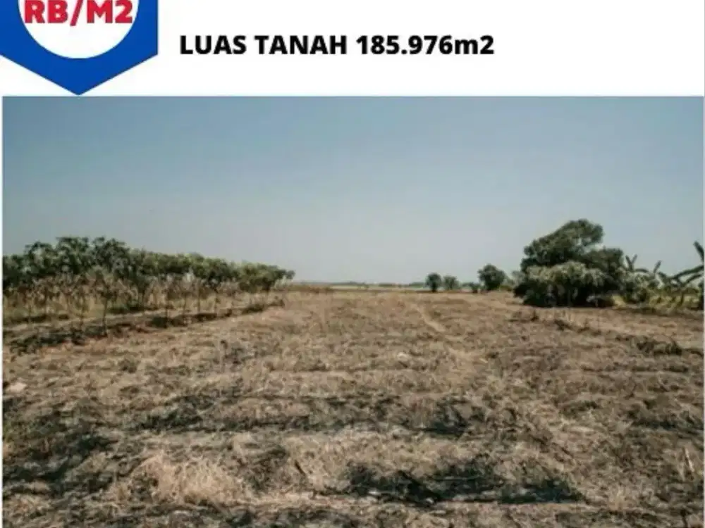 Jual Tanah Kavling 125 rb per meter