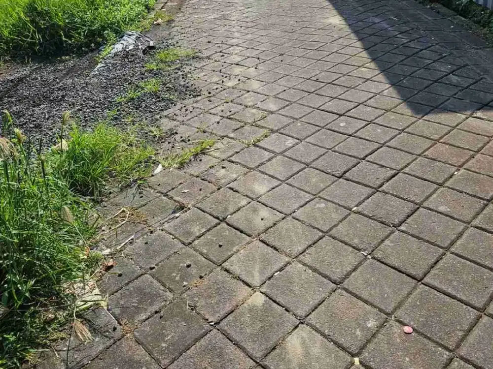 Di jual tanah jalan Abianbase , Badung , Bali