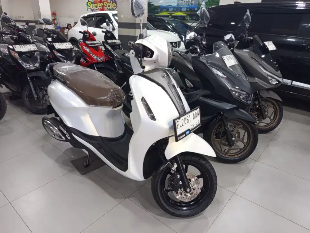 Grand filano 2024 exlusive