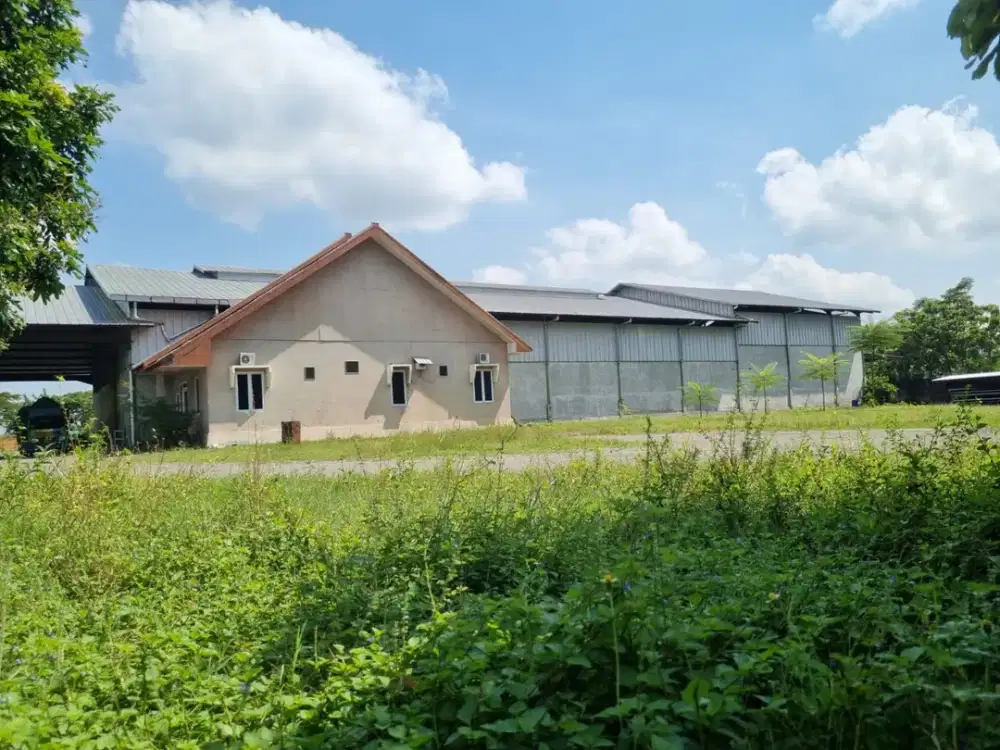 Properti SHM Dijual – Cocok untuk Gudang dan Bisnis