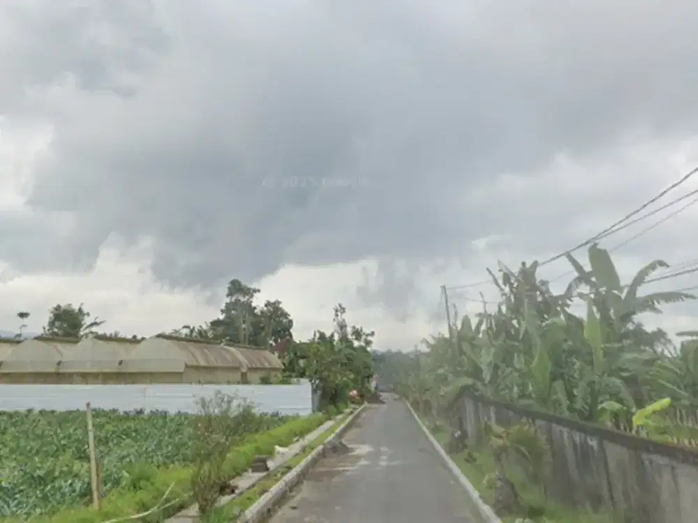 DIJUAL  1 BIDANG TANAH LUAS TOTAL 1.895 M² - BADUNG