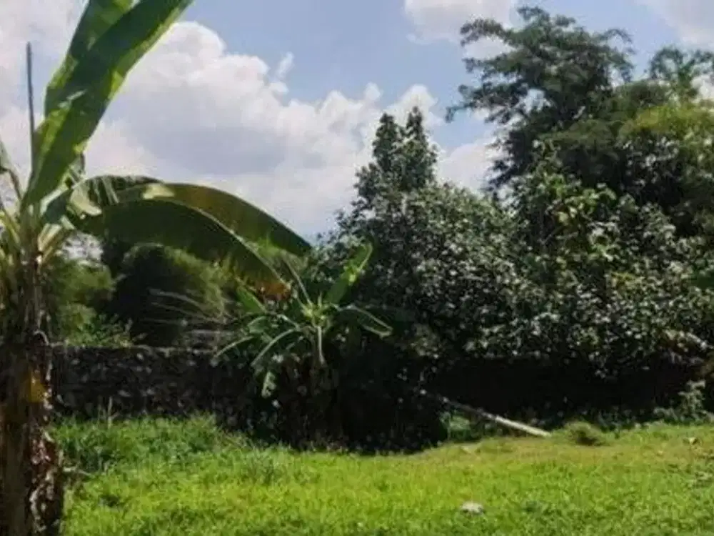 Dijual Tanah Luas Lokasi Jl. Lerep Ungaran