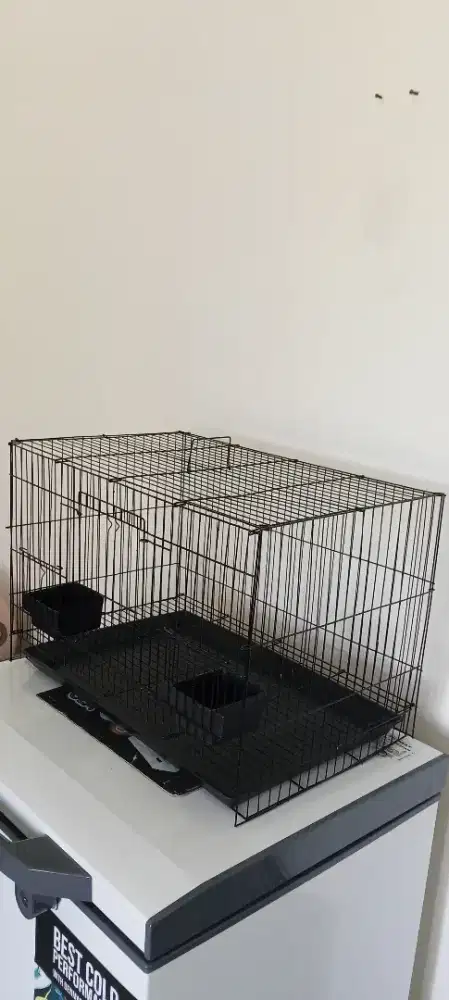 Sangkar box besi ukuran 50 baru