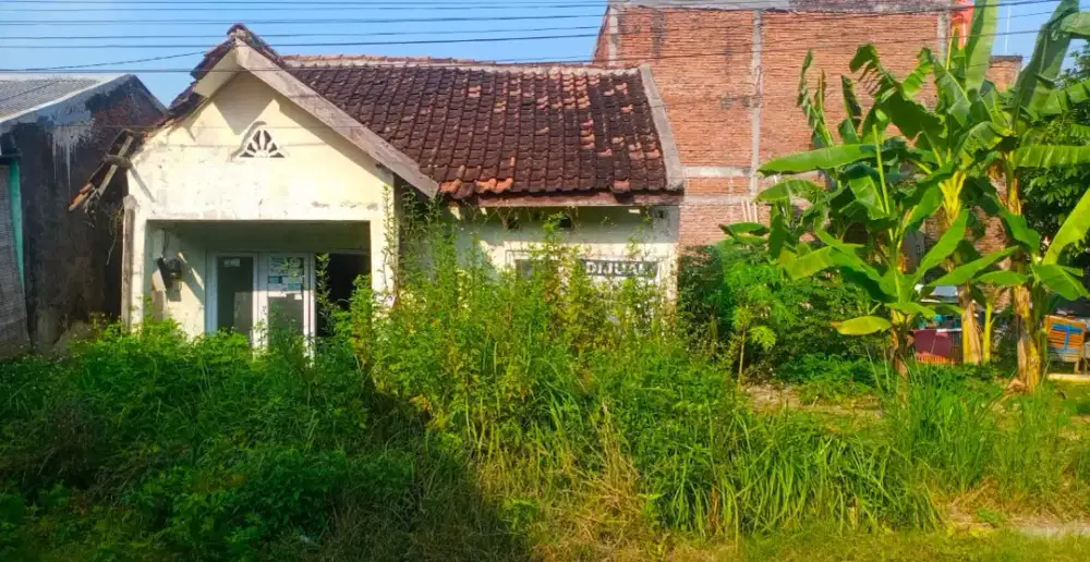 Jual Rumah Dinar elok, Meteseh (Lokasi Strategis)