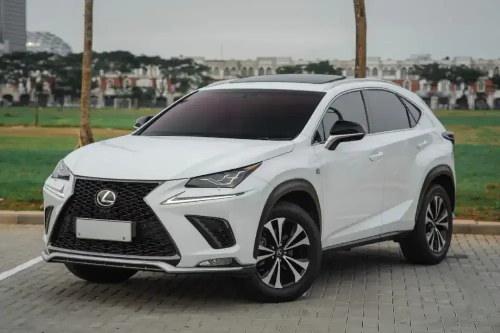 Lexus NX300 FSport AT 2018 Pajak Panjang