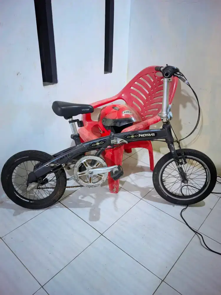 Sepeda lipAt united norm