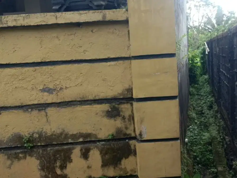 DIJUAL 1 BIDANG TANAH & BANGUNAN – KABUPATEN TABANAN