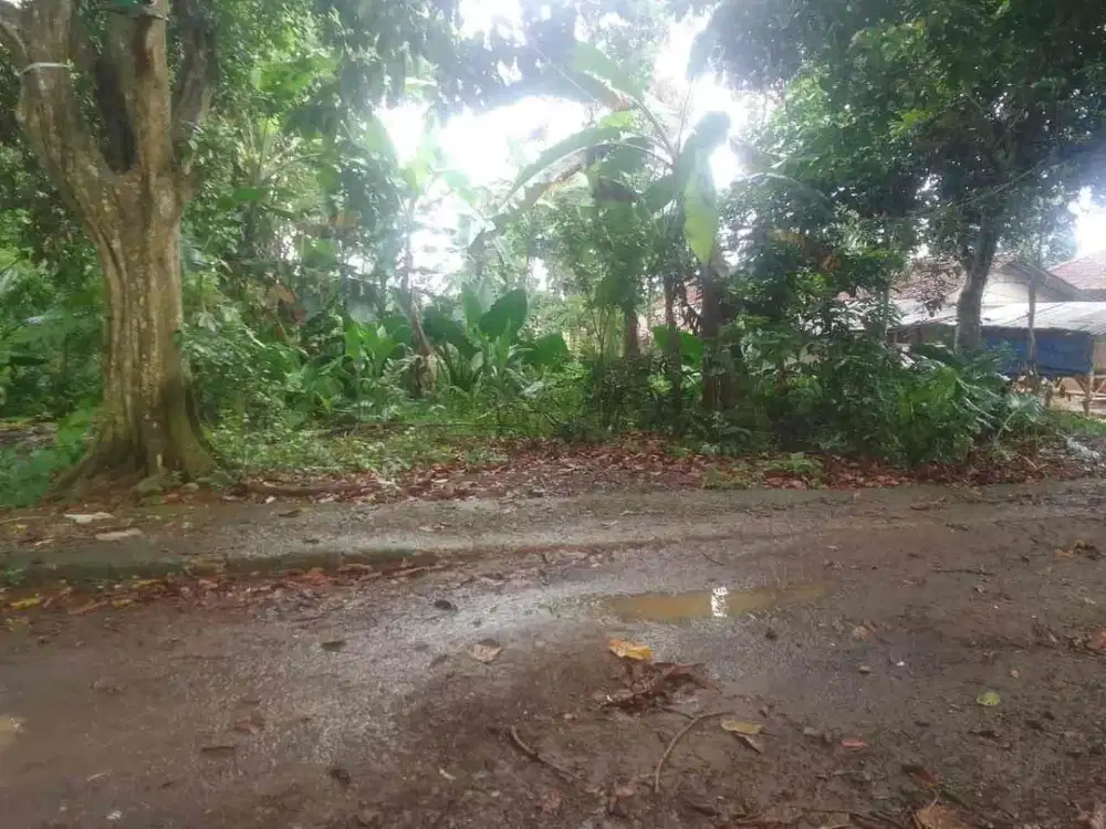 TANAH MURAH DAN STRATEGIS DI KECAMATAN CISEENG DESA CIBEUTEUNG DEKAT TELAGA KAHURIPAN