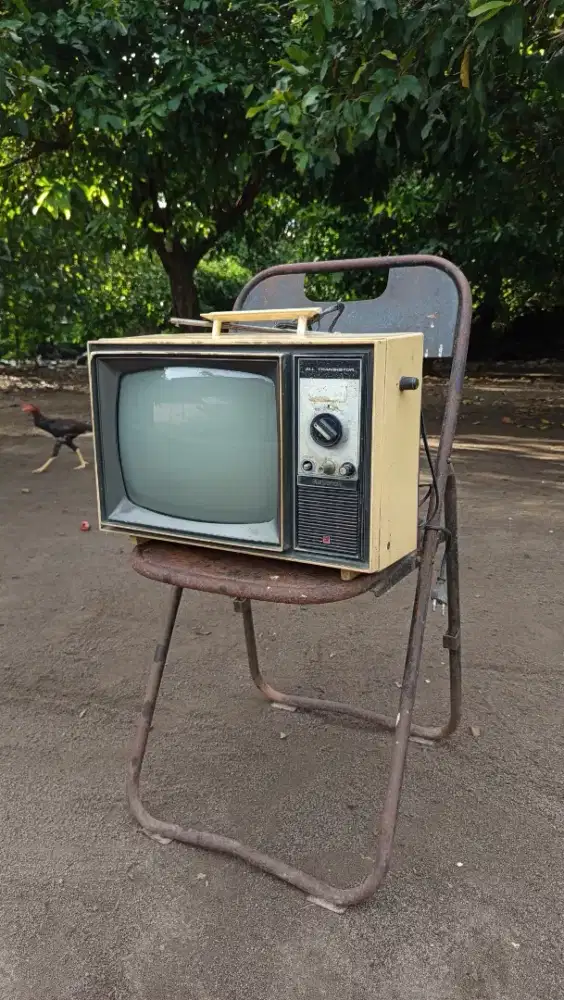 Tv national jadul antik