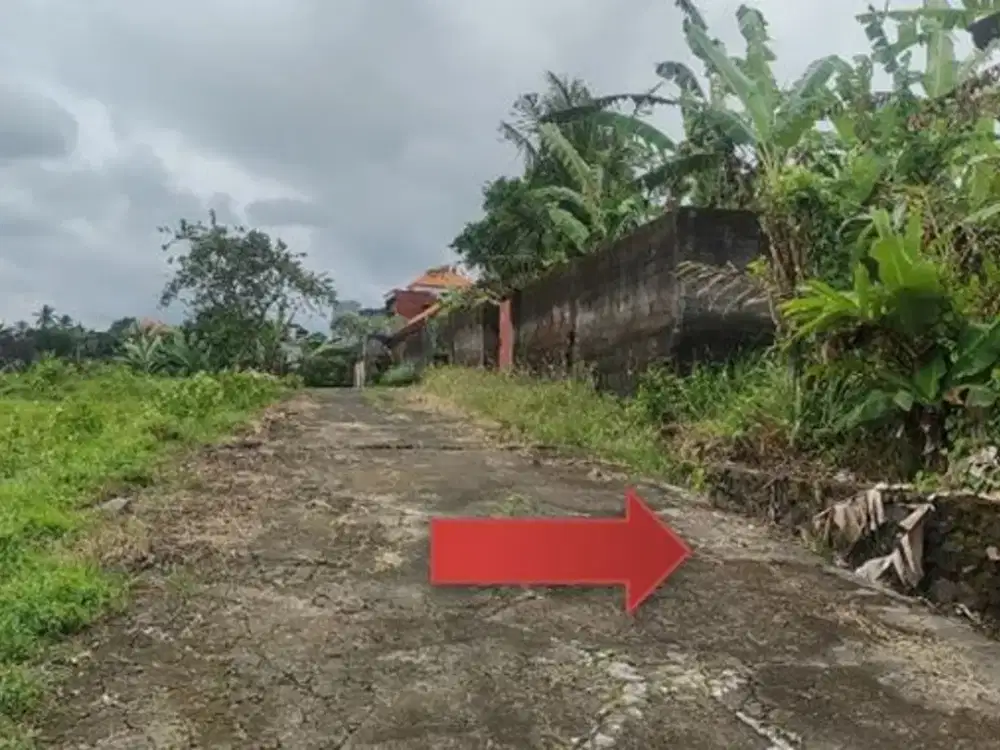 DIJUAL 1 BIDANG TANAH – KABUPATEN TABANAN