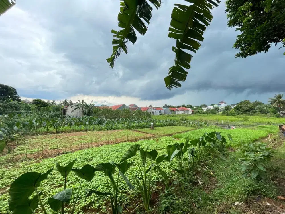 Kavling SHM 10 Menit Universitas Terbuka Bonus Kulkas