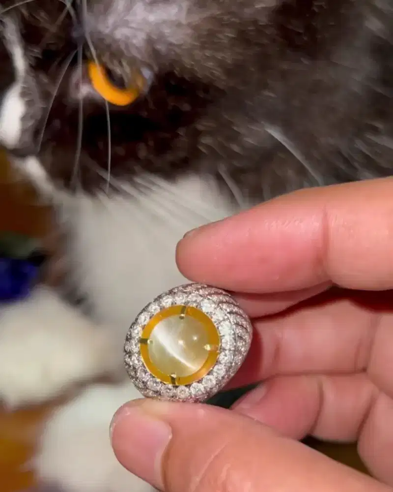 Nego , Permata Cats Eye Chrysoberyl