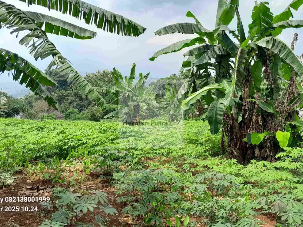 Tanah Tembalang Mulawarman Undip