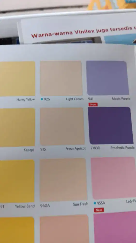 Cat tembok Vinilex Pro Nippon