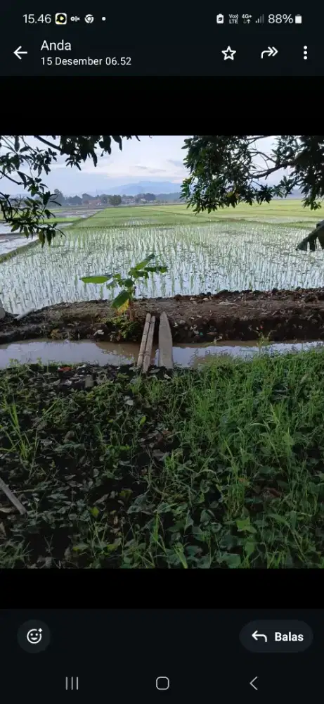 Jual tanah sawah.