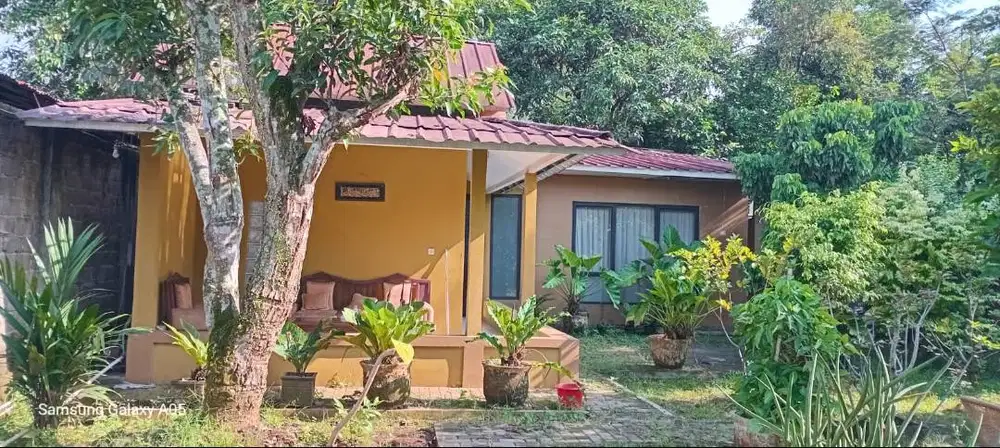 Dijual Cepat Rumah Halaman Luas