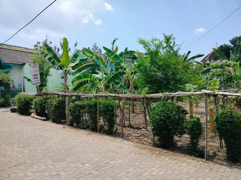 Dijual Tanah Lokasi Bagus strategis dekat kampus daerah plemburan