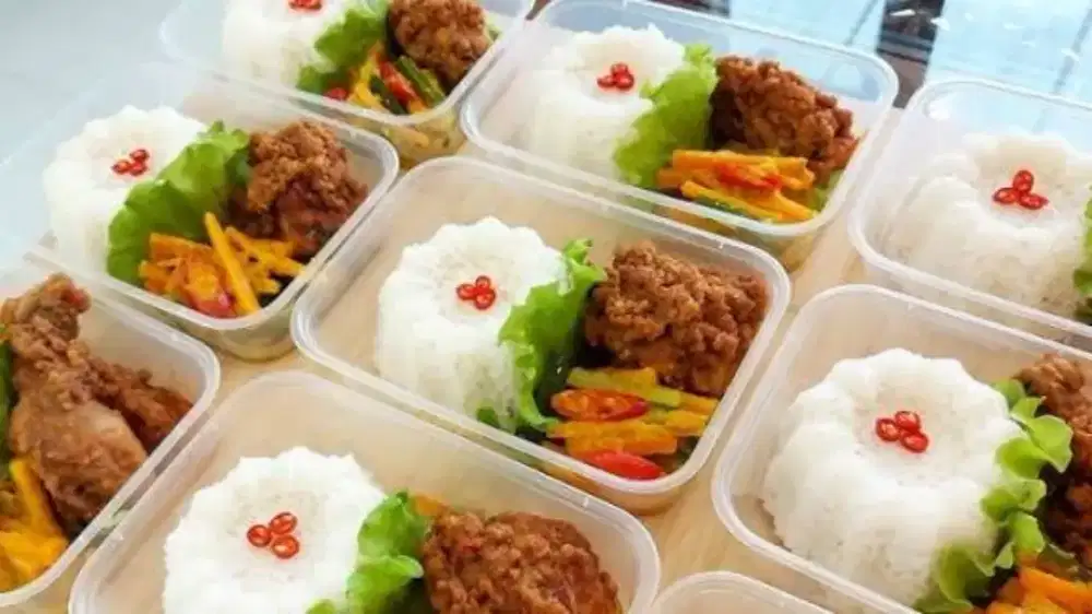 Aneka nasi kotak dll