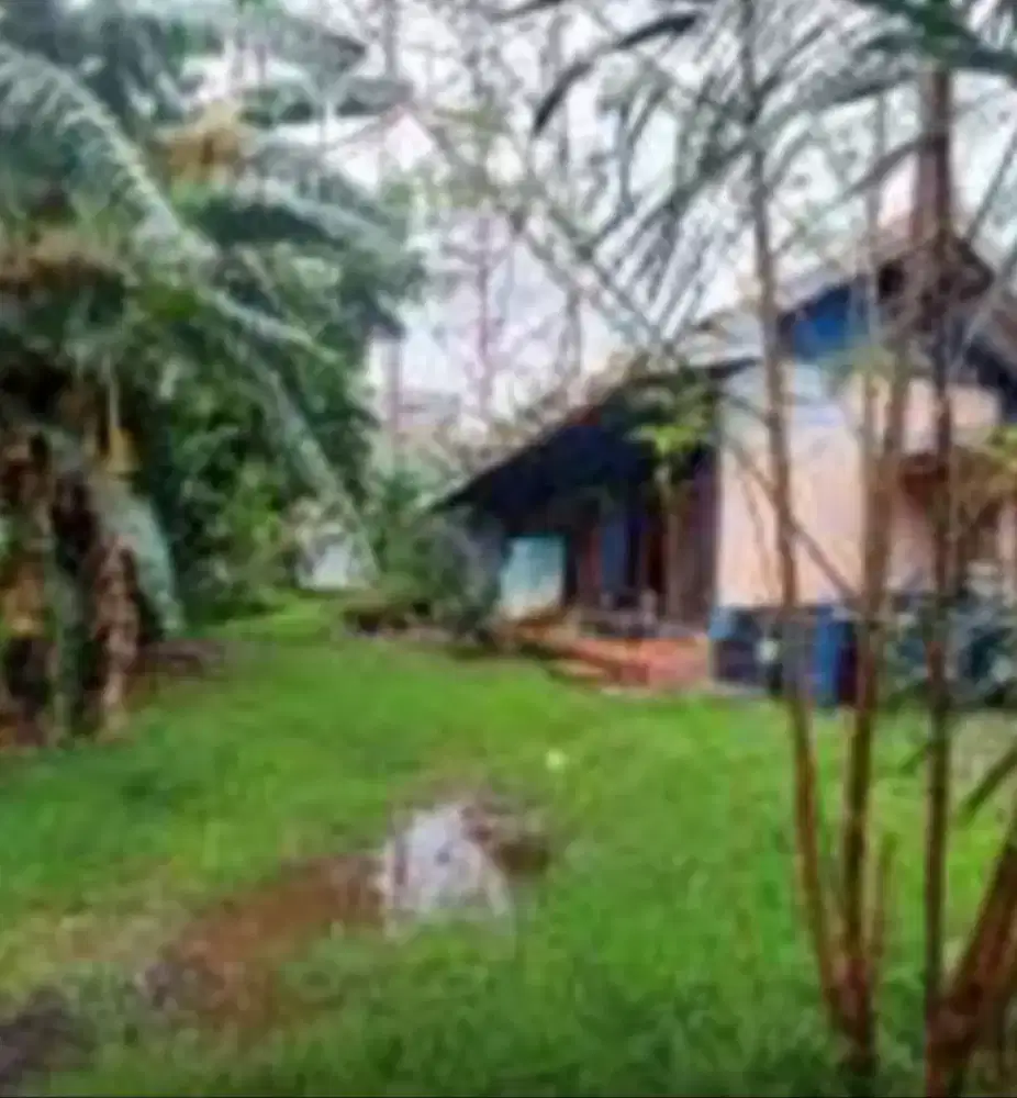 Rumah Indraloka Jelambar