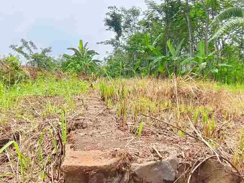 Tanah murah malang luas 60 meter