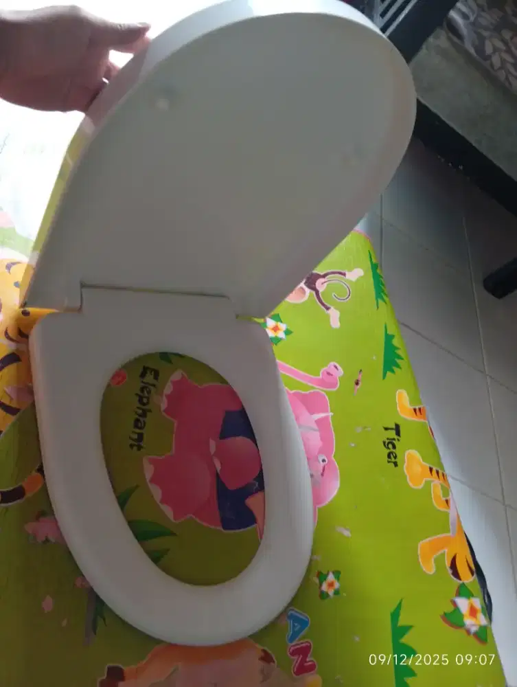 Toilet seat cover