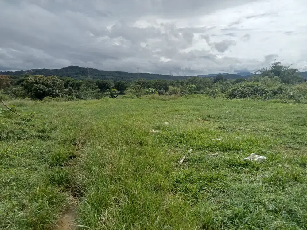 Di jual lahan tanah darat lt 1.8 H $$ SHM cocok untuk ternak ayam