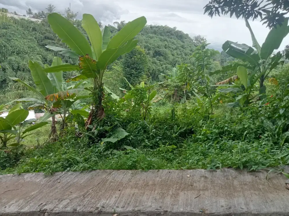 Di jual lahan tanah darat lt 1780 MTR lokasi strategis