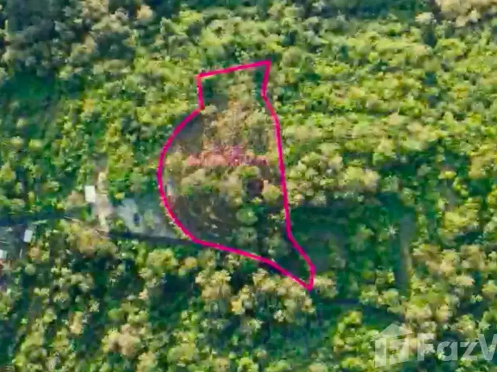 Land for sale in Nusa Penida, Bali