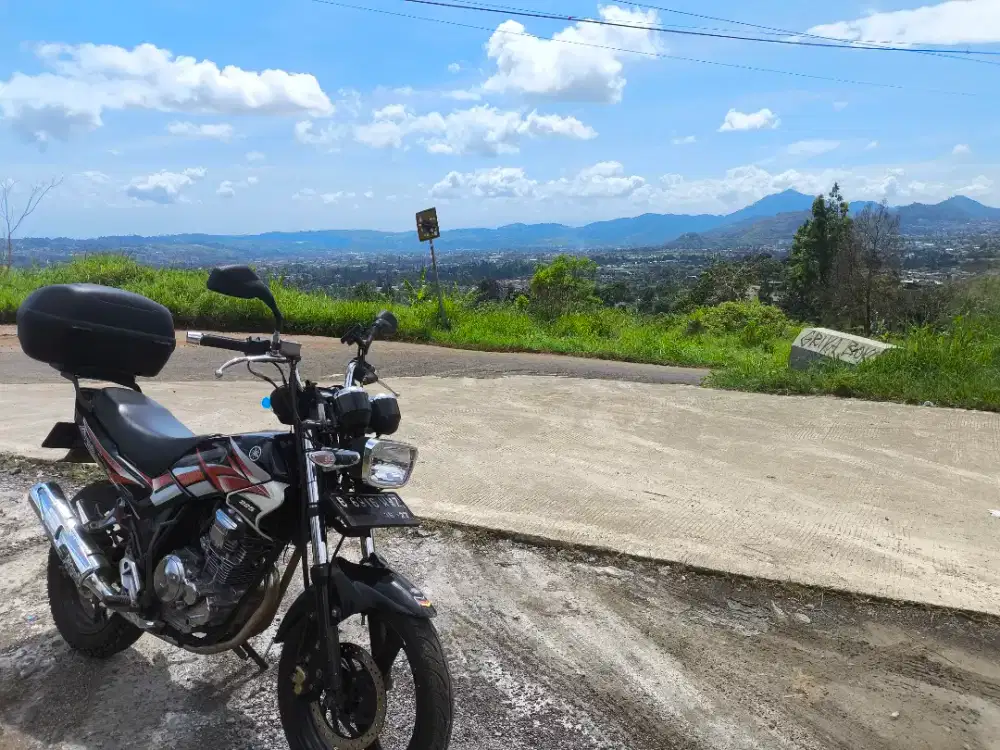 Yamaha scorpio steko 225