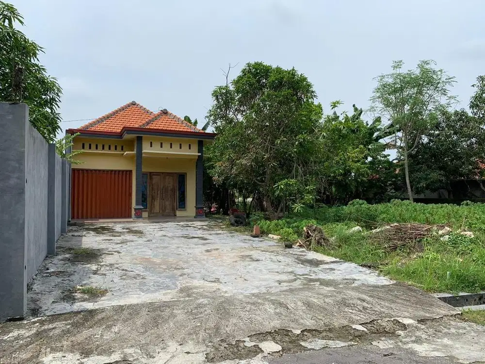 Rumah + pekarangan luas ±1.000 m² Lamongan kota bisa di kavling 6