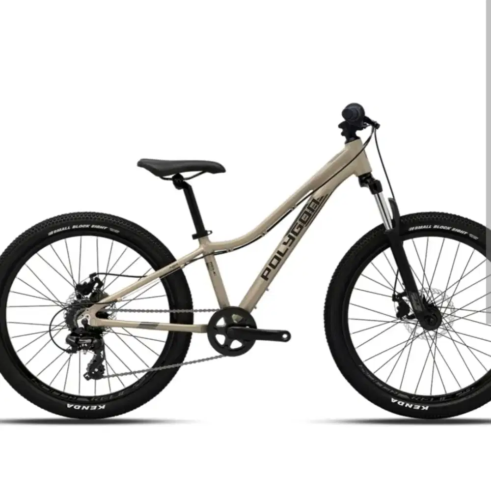 sepeda gunung polygon junior24