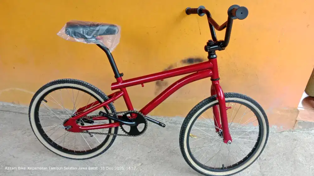 Bmx Polygon 20 inch rem torpedo repaint