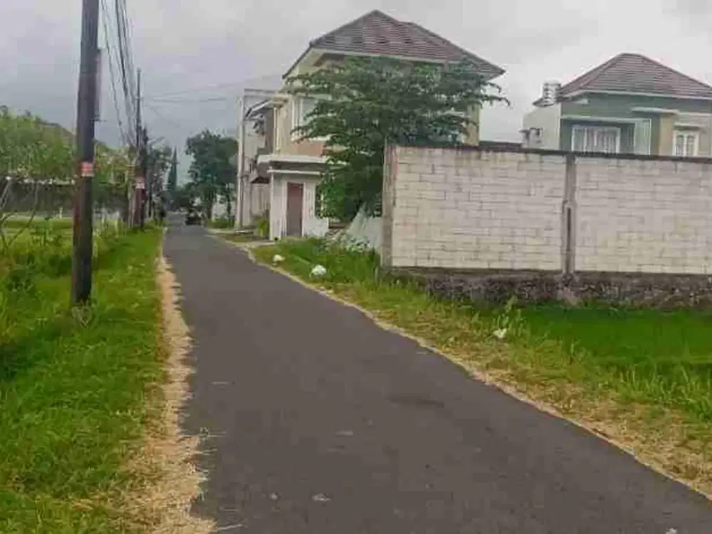 Jual Sawah  Timur  Pasar Stan  View Sawah Lingkungannya Perumahan