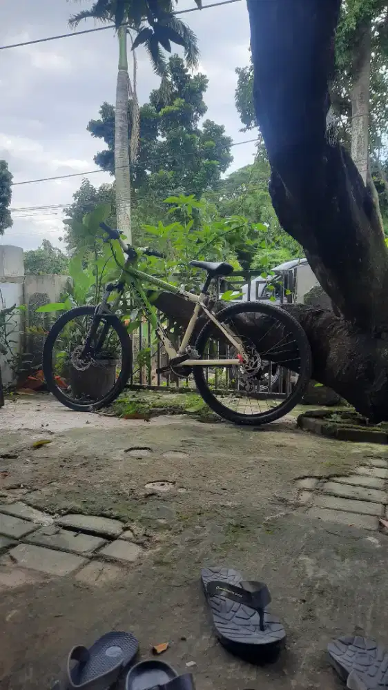 Sepeda kona kula deluxe