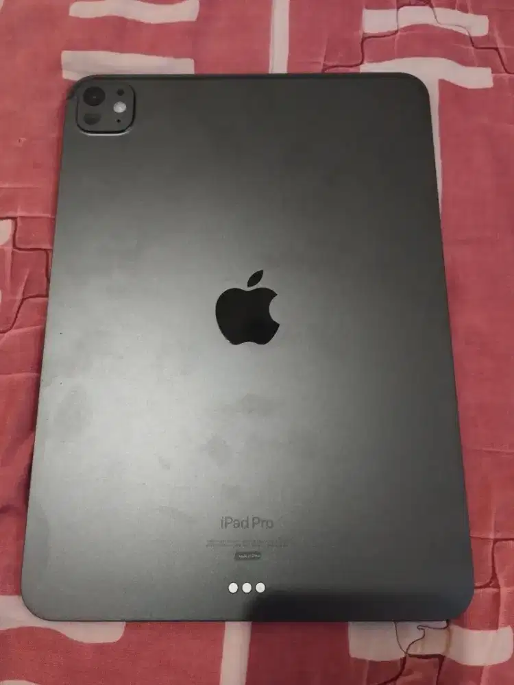 Ipad Pro M4 11 inch 256GB