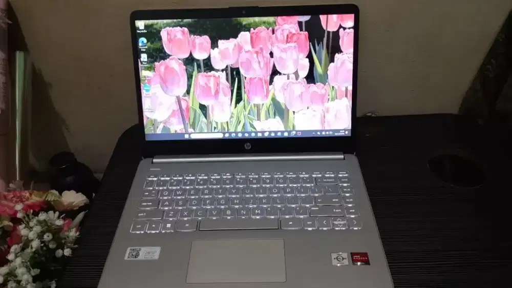 Laptop HP 14s Athlon Silver 4/512*