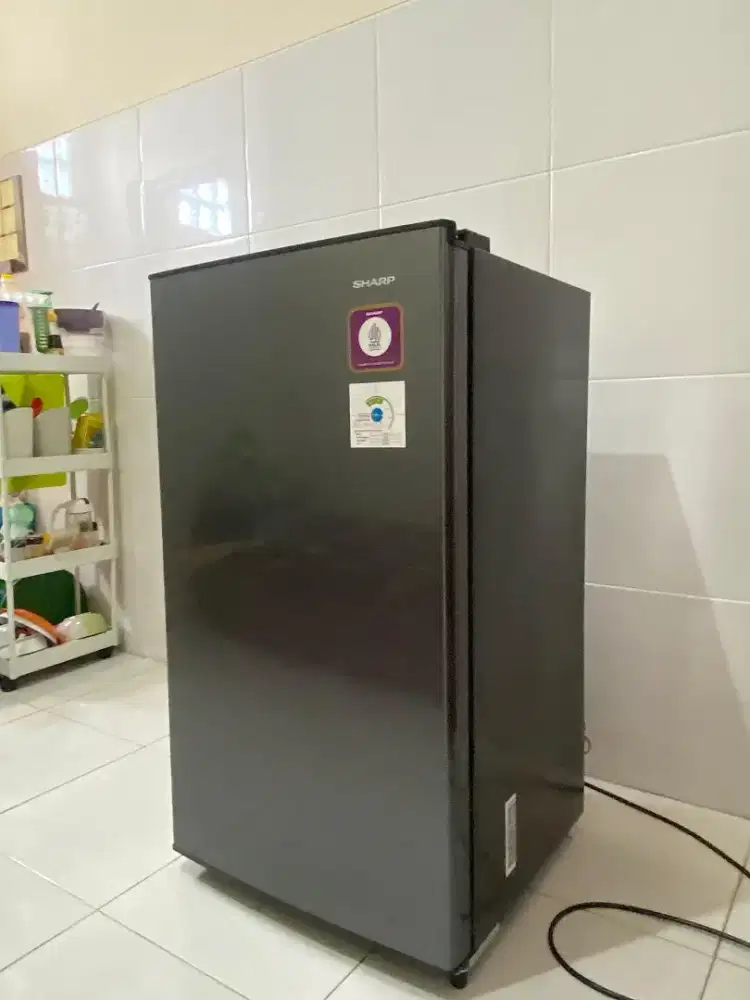 Kulkas Sharp 1 Pintu Elegan Minimalis Cocok Buat Pasutri Baru