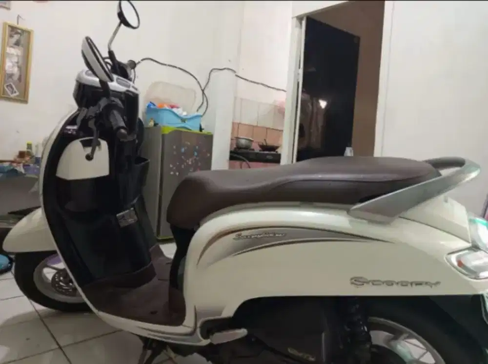 Scoopy. 2018 stalist