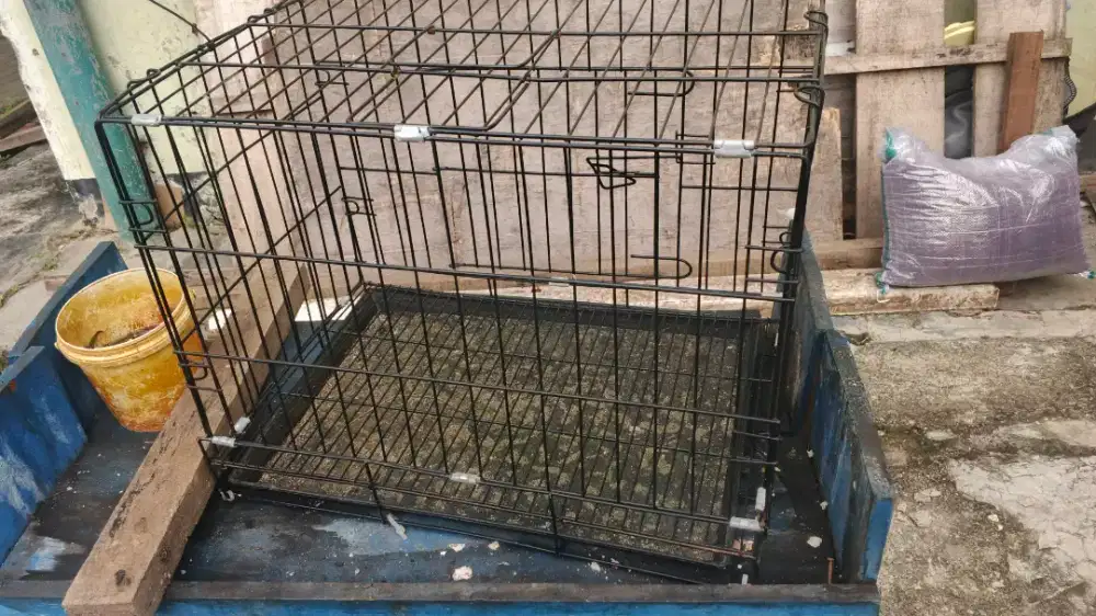 Kandang meong/dogy