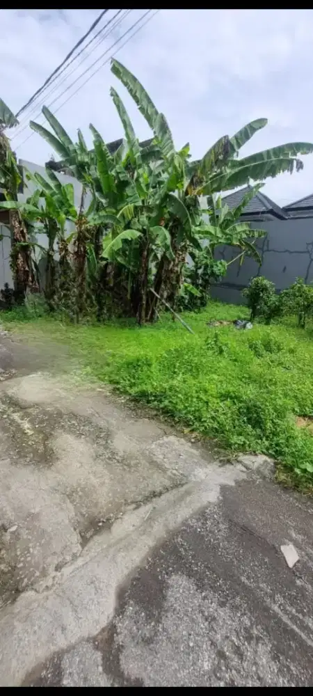Di jual tanah murah,2 are di semana mambal badung bali