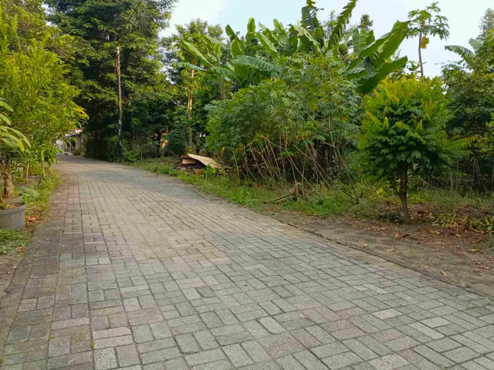 tanah lempongsari sleman yogyakarta