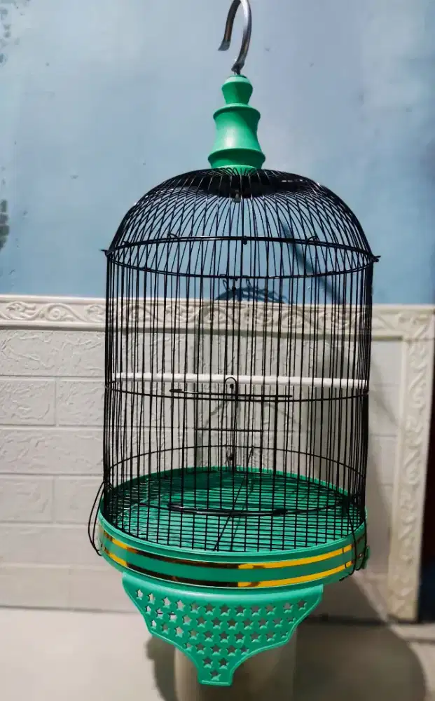 Sangkar/Kandang Love Bird Tanggung DM 33 Model BatMan