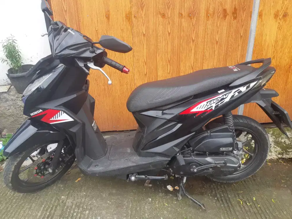 Beat eco 2024 mulpis