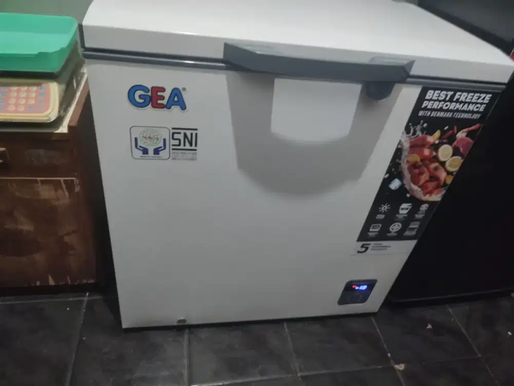 Freezer GEA AB208R 210L